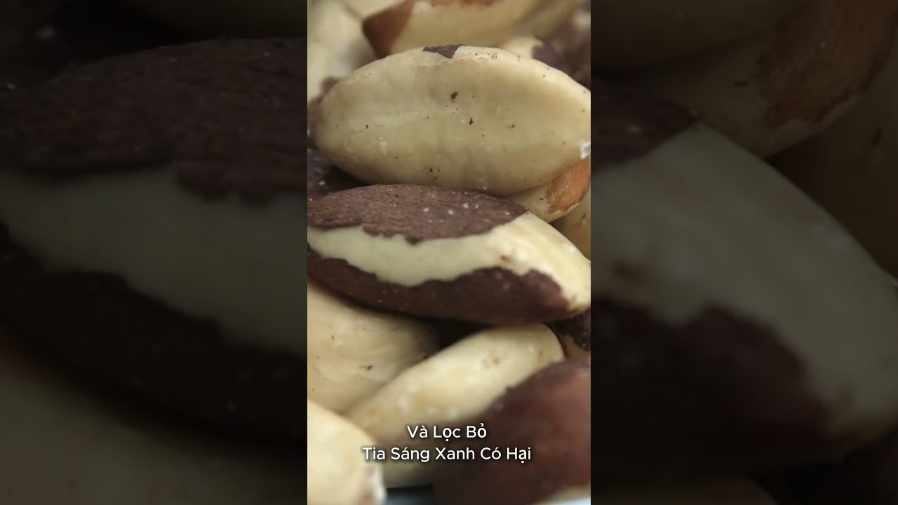 Món Ăn Bổ Dưỡng Cho Mắt - Hạt Điều Là Loại Hạt Tốt Cho Mắt #cashew #hatdieu #hat