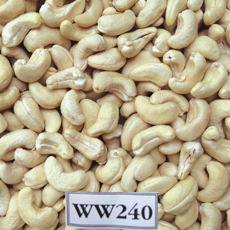 ww240 cashew nut vietnam