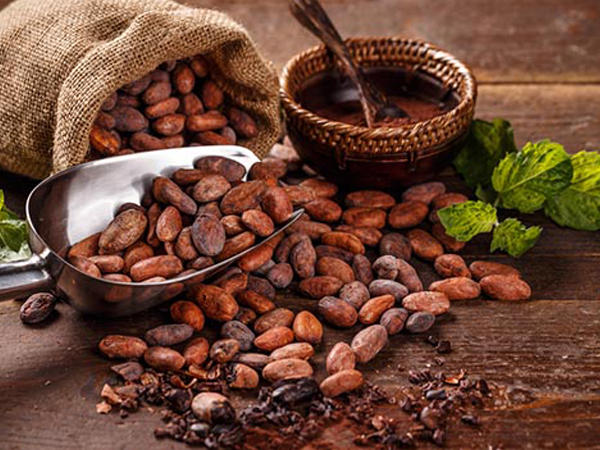 Hạt ca cao là hạt của cây ca cao (tên khoa học là Theobroma cacao) từ Trung Mỹ và Nam Mỹ.
