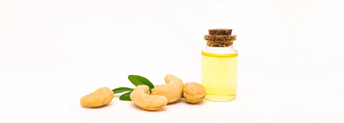 Cashew oil kernels is considered a very healthy cooking oil than other cooking oils