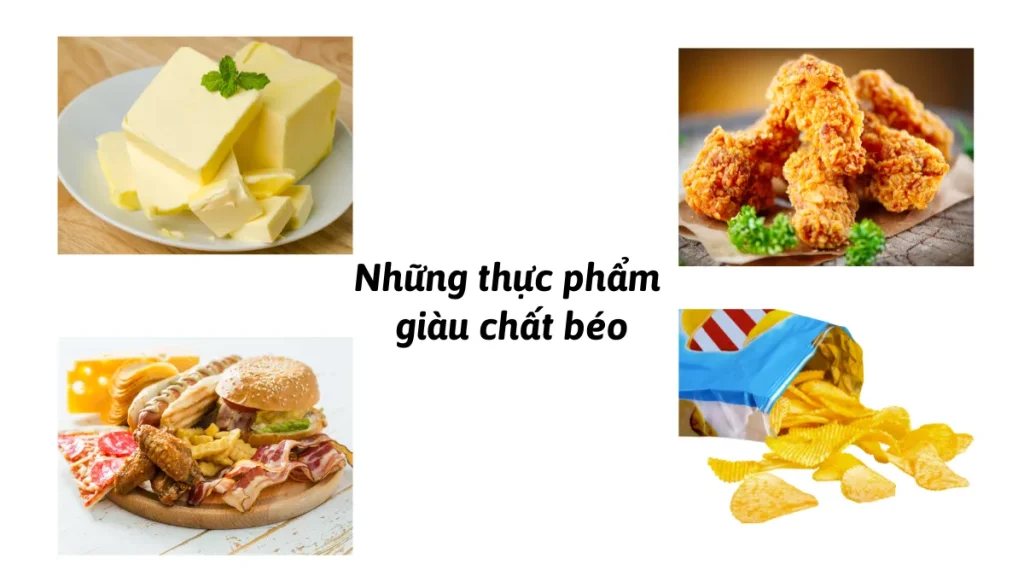 Những thực phẩm giàu chất béo