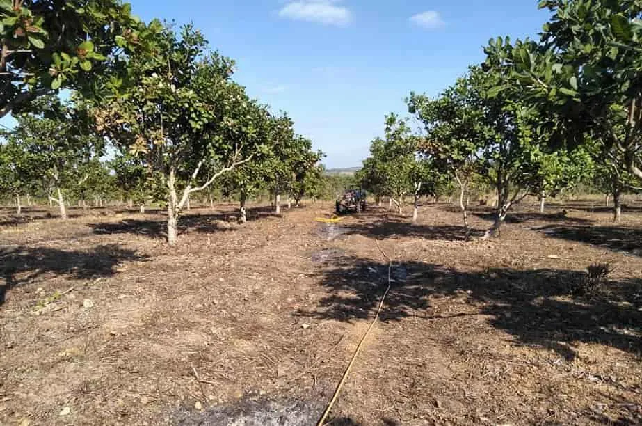 cac phuong phap don dep vuon hieu qua