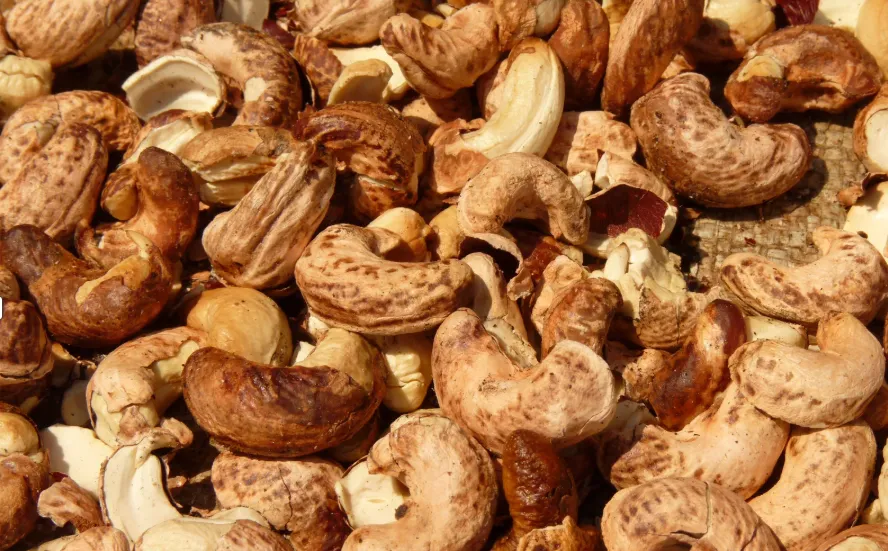 Ăn hạt điều rang muối vỏ lụa có sao không? Không sao cả.
