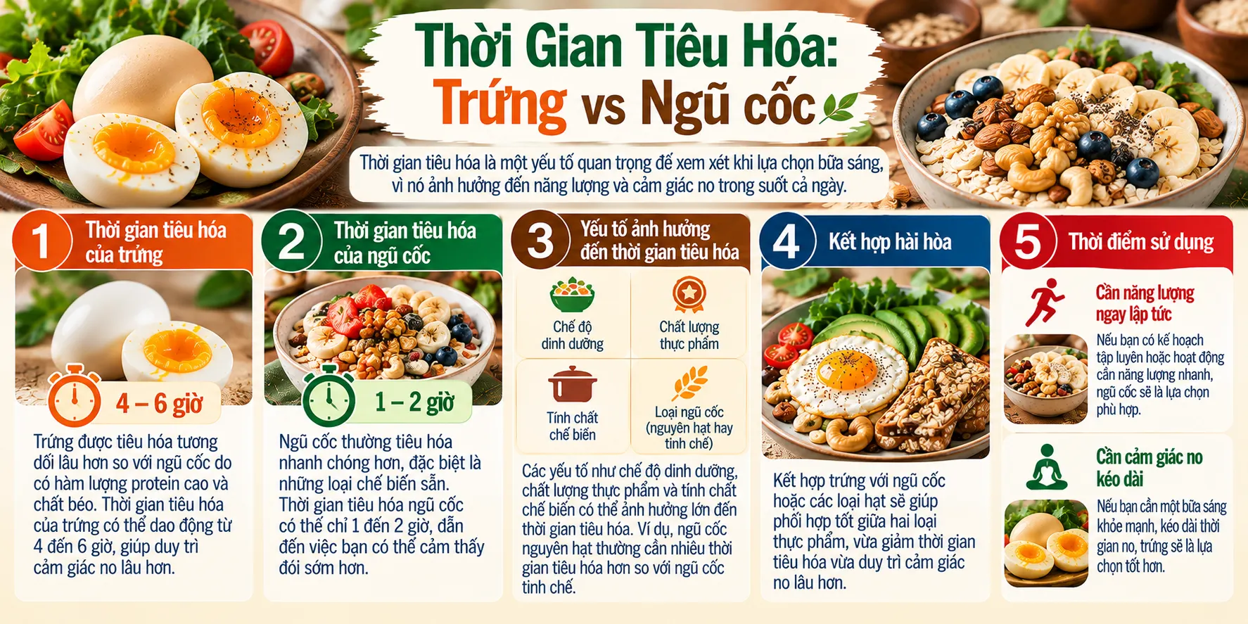 Thoi Gian Tieu Hoa Trung vs Ngu coc