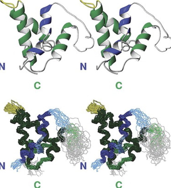 Prolamin protein