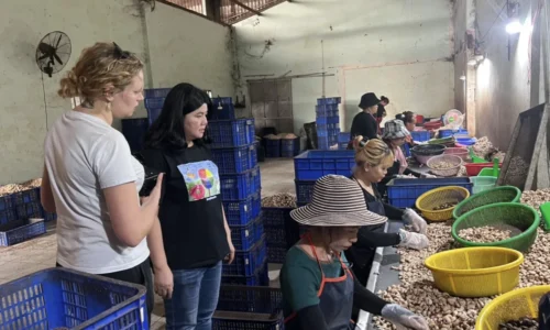 xuong che bien hat dieu