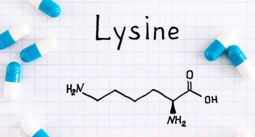 Lysine la axit amin co trong hat dieu