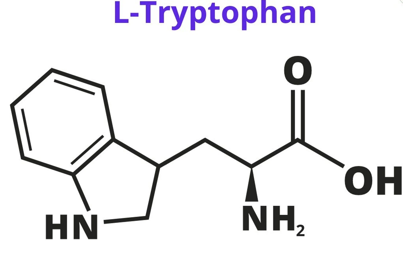 Tryptophan la axit amin co trong hat dieu