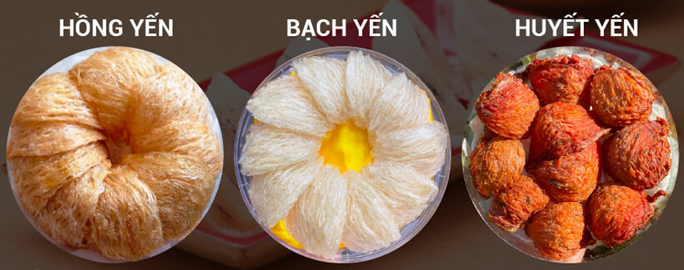 bach yen hong yen huyet yen