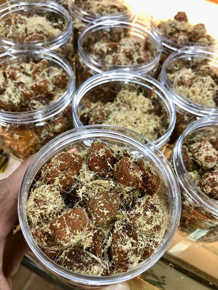 Omai Ha Noi 2