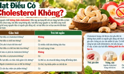 Hat Dieu Co Cholesterol Khong