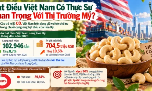 Hat Dieu Viet Nam Co Thuc Su Quan Trong Voi Thi Truong My