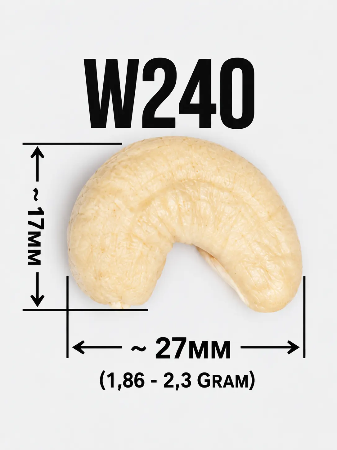 Hat dieu W240
