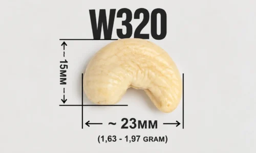 Hat dieu W320