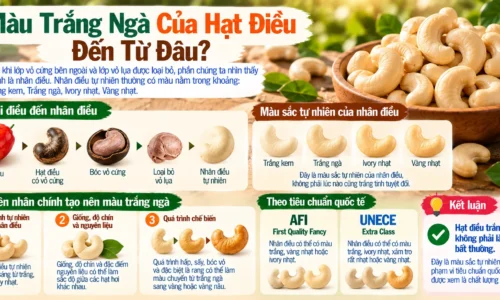 Mau Trang Nga Cua Hat Dieu Den Tu Dau