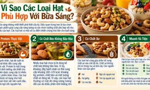 Vi Sao Cac Loai Hat Phu Hop Voi Bua Sang